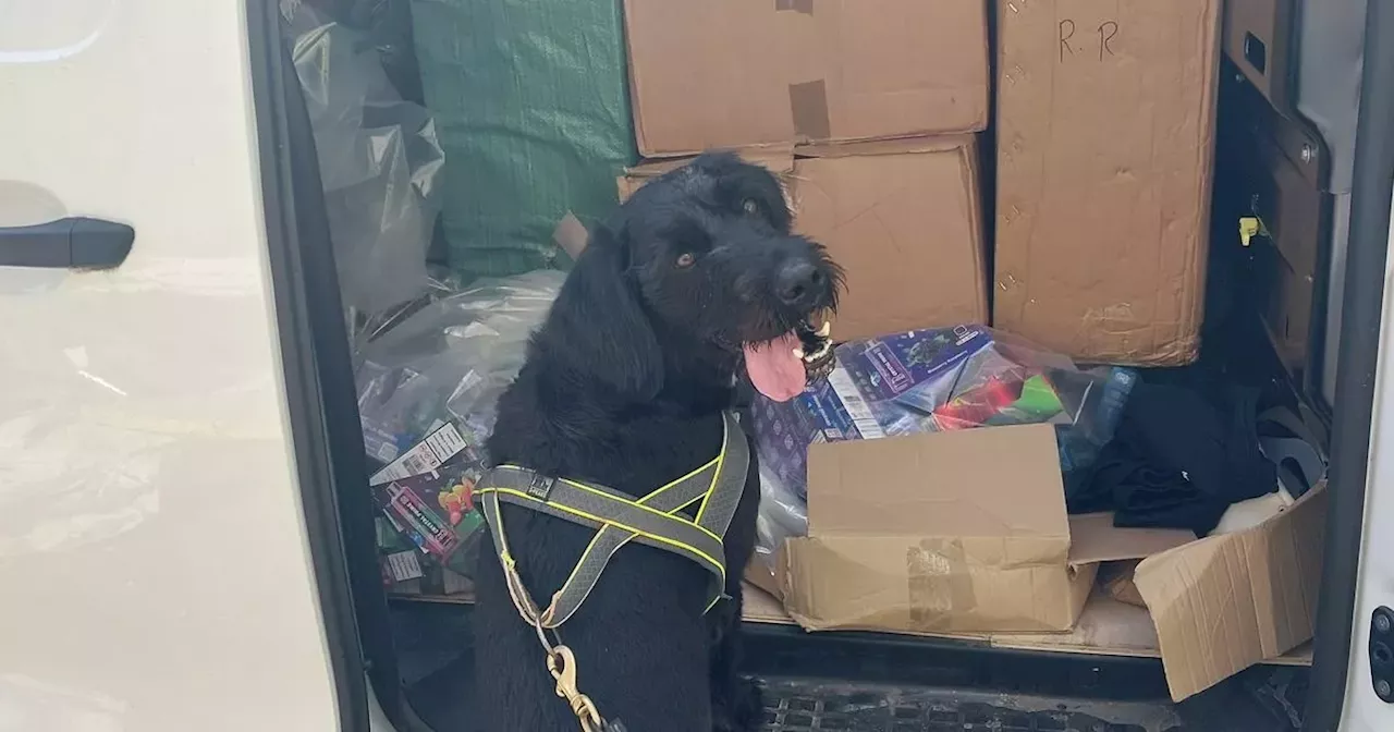 Van of illegal vapes and tobacco products sniffed out in Scots police dog raid