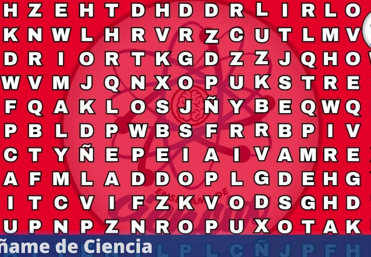 Acertijo visual nivel PRO: encuentra la palabra «VOLCÁN» en tiempo récord