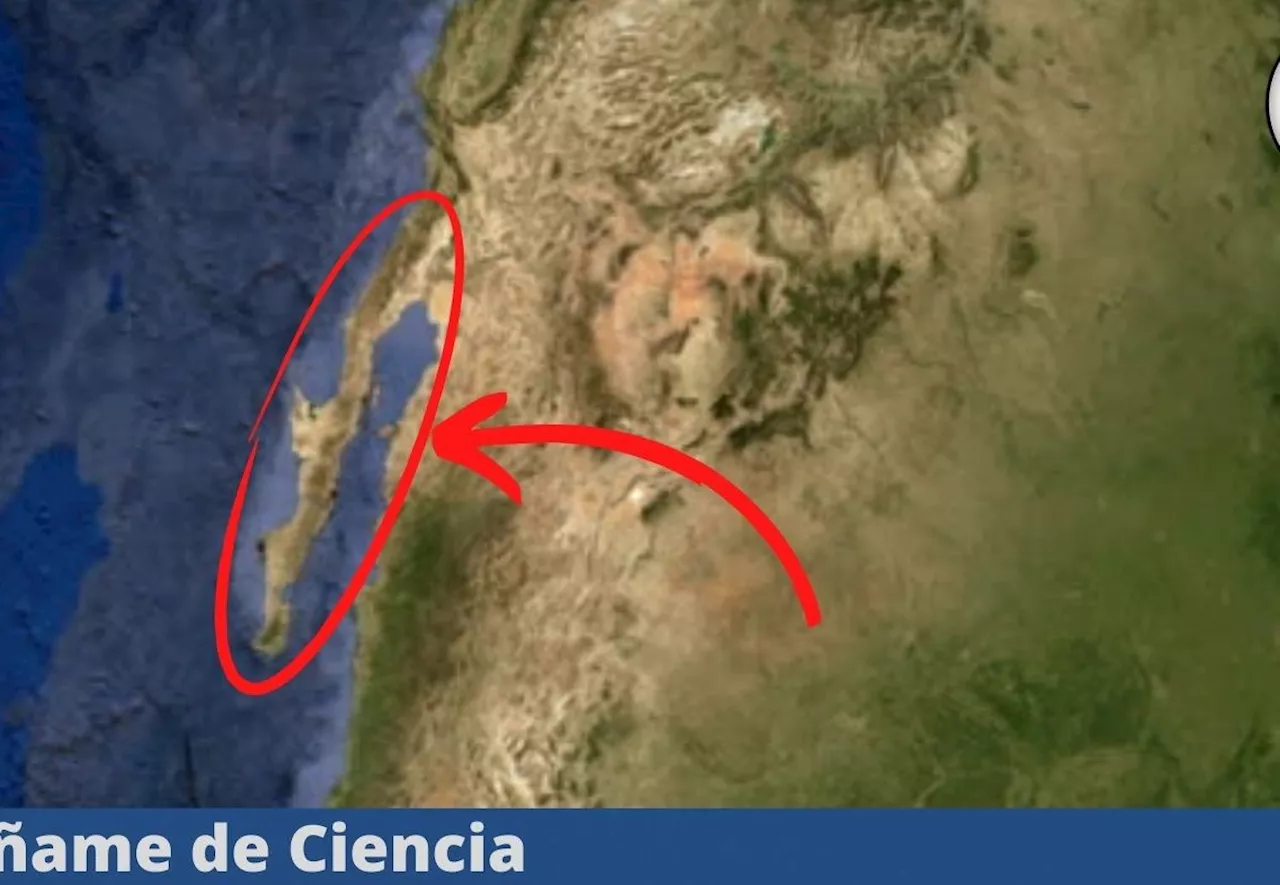 ¿La península de Baja California se separará del territorio nacional de México? Esto dice la UNAM