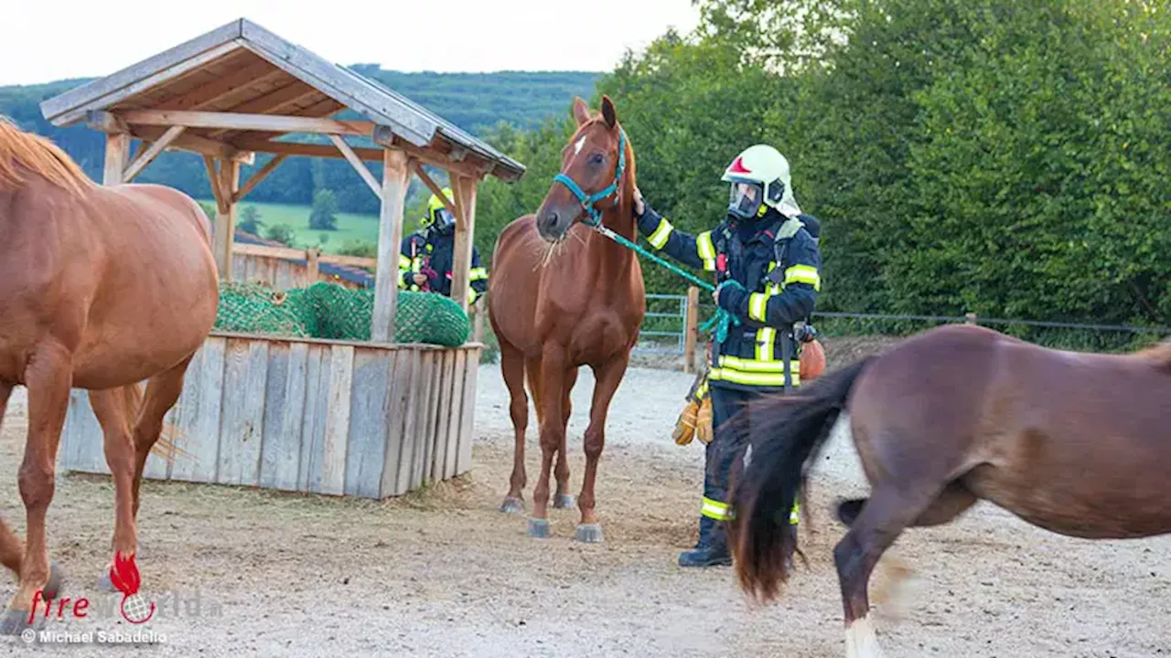 Nö: Brandeinsatzübung im neuen Pferdezentrum Wolfsgraben