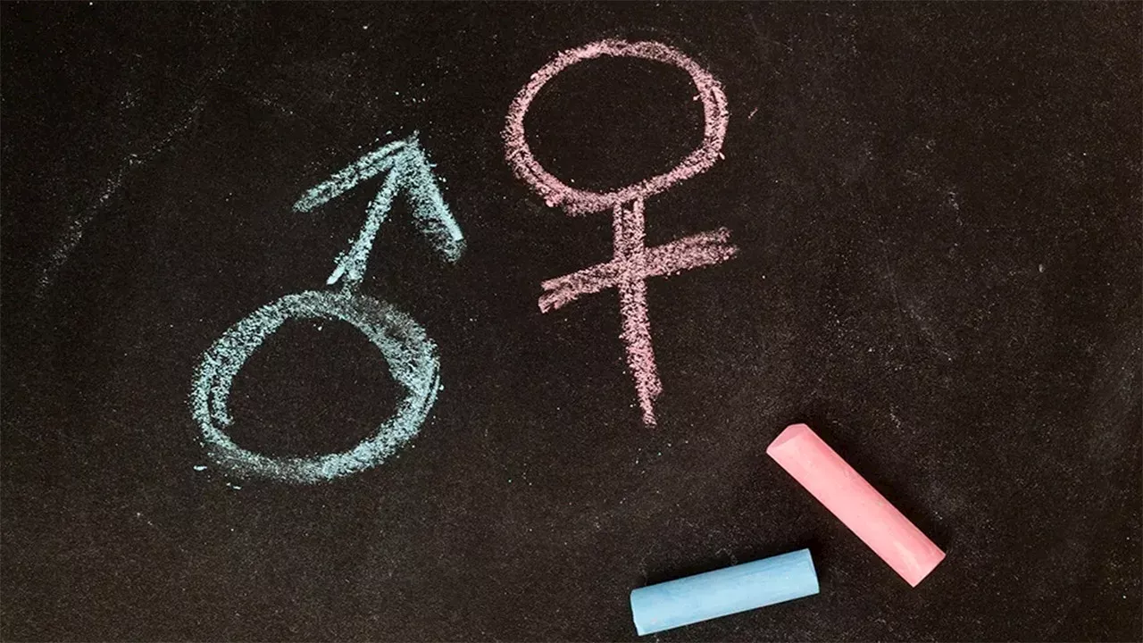 Texas school district adopts policy that teachers must use pronouns consistent with students' biological sex