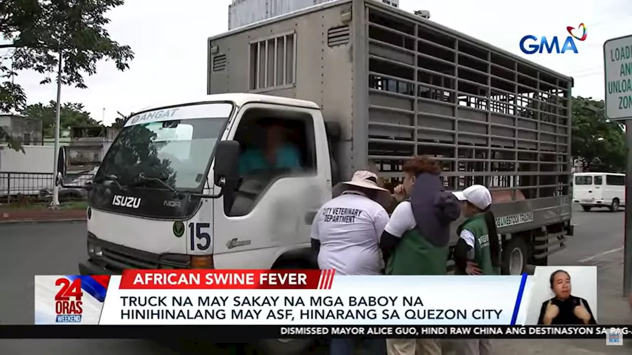 Truck driver tries to slip load of pigs past ASF checkpoint