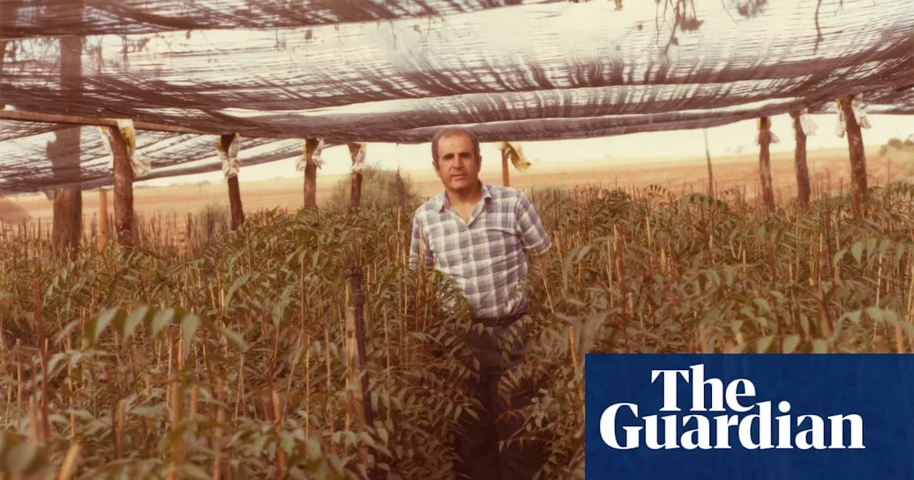 Growing Australia: how a refugee from Iran helped expand the pistachio industry