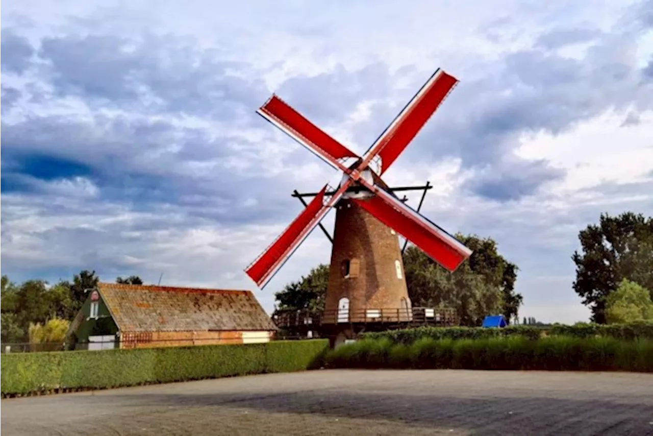 Historische Buitenmolen pronkt zondag met zijn charme tijdens Provinciale Molendag