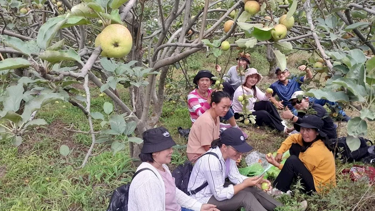 Hiruk-pikuk Pilkada Dinilai Tak Pengaruhi Kunjungan Wisata ke Batu