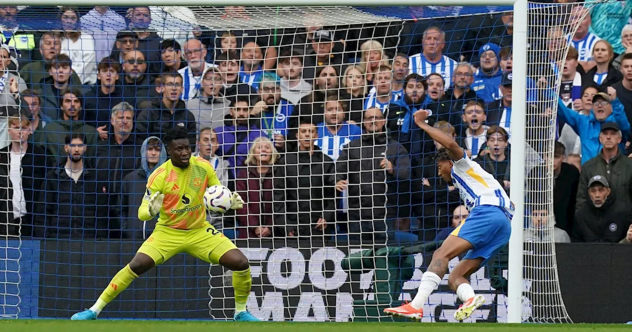 Brighton hit Manchester United with sucker punch as Joao Pedro heads home late winner