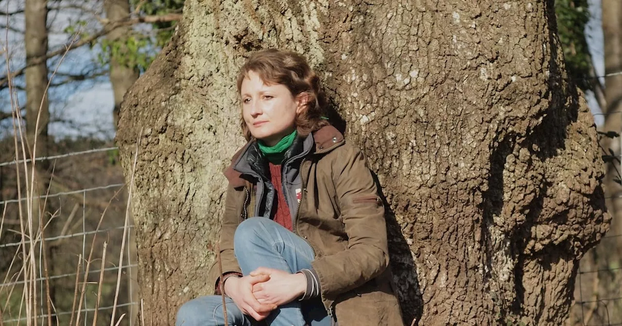 Inside an Englishwoman’s campaign to bring back Ireland’s missing ‘big old trees’