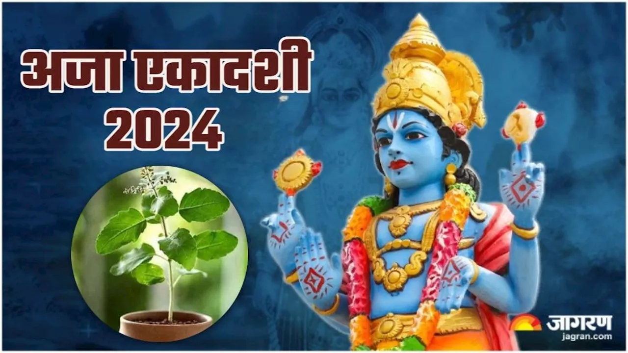 Aja Ekadashi 2024: अजा एकादशी पर इस तरह करें तुलसी जी को प्रसन्न, विष्णु जी की भी कृपा होगी प्राप्त