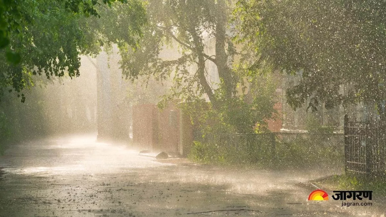 Haryana Weather: हरियाणा में बदला मौसम का मिजाज, बारिश होने से तापमान में गिरावट; जानें सभी अपडेट