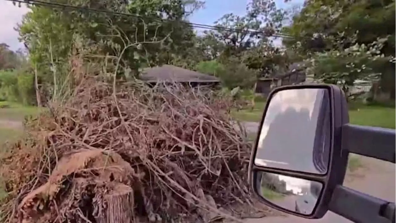 ‘It should’ve been done a long time ago’: Viewers get help for tree debris piling up since Derecho