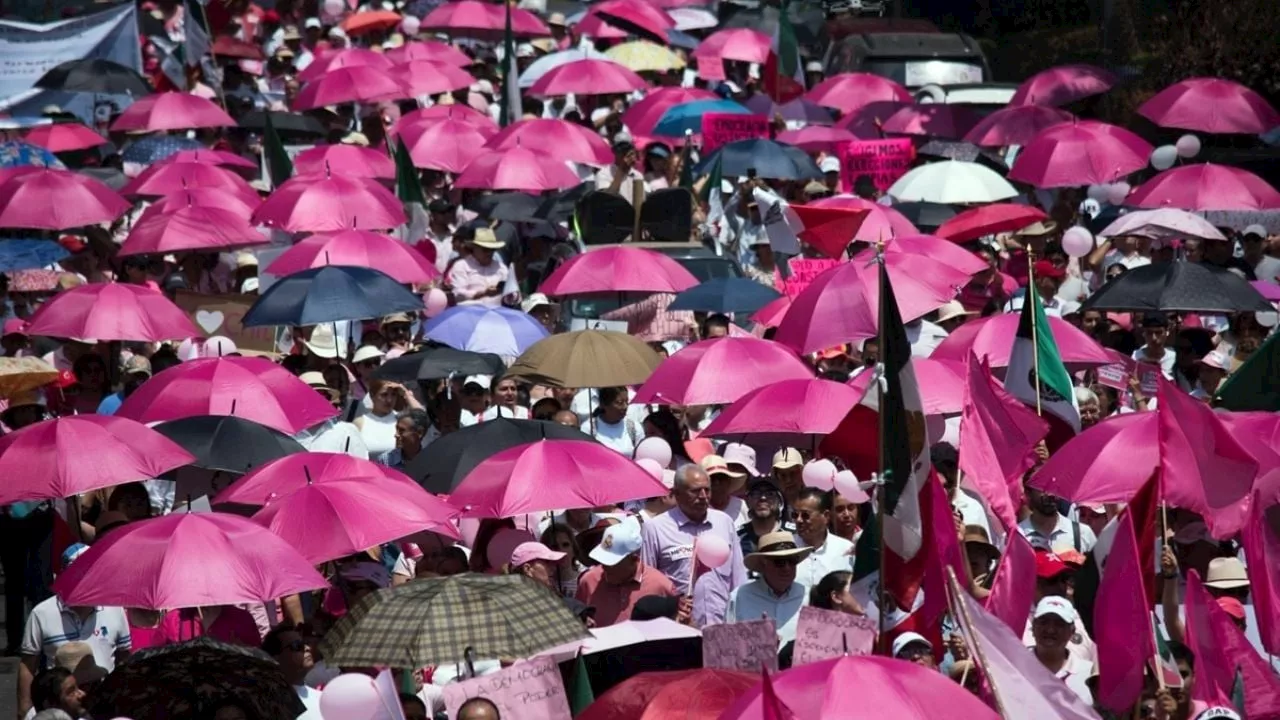 Sociedad civil va con amicus curiae contra mayoría de Morena y aliados