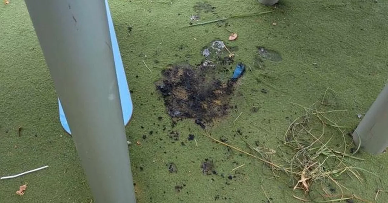 Dad slams 'selfish' yobs who tried to set fire to park's £165k play area