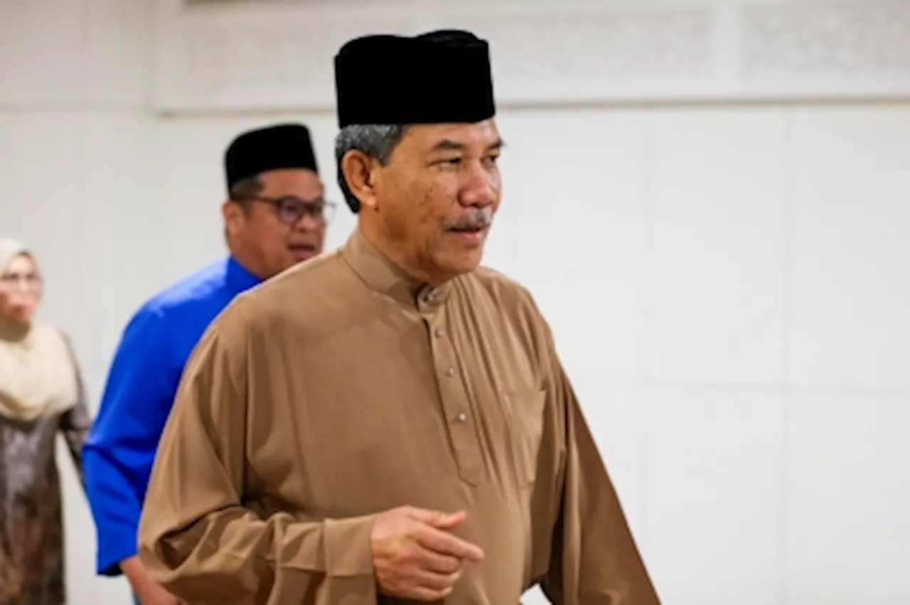 Tok Mat: Too soon to decide if BN will go solo in GE16, decision to be made later