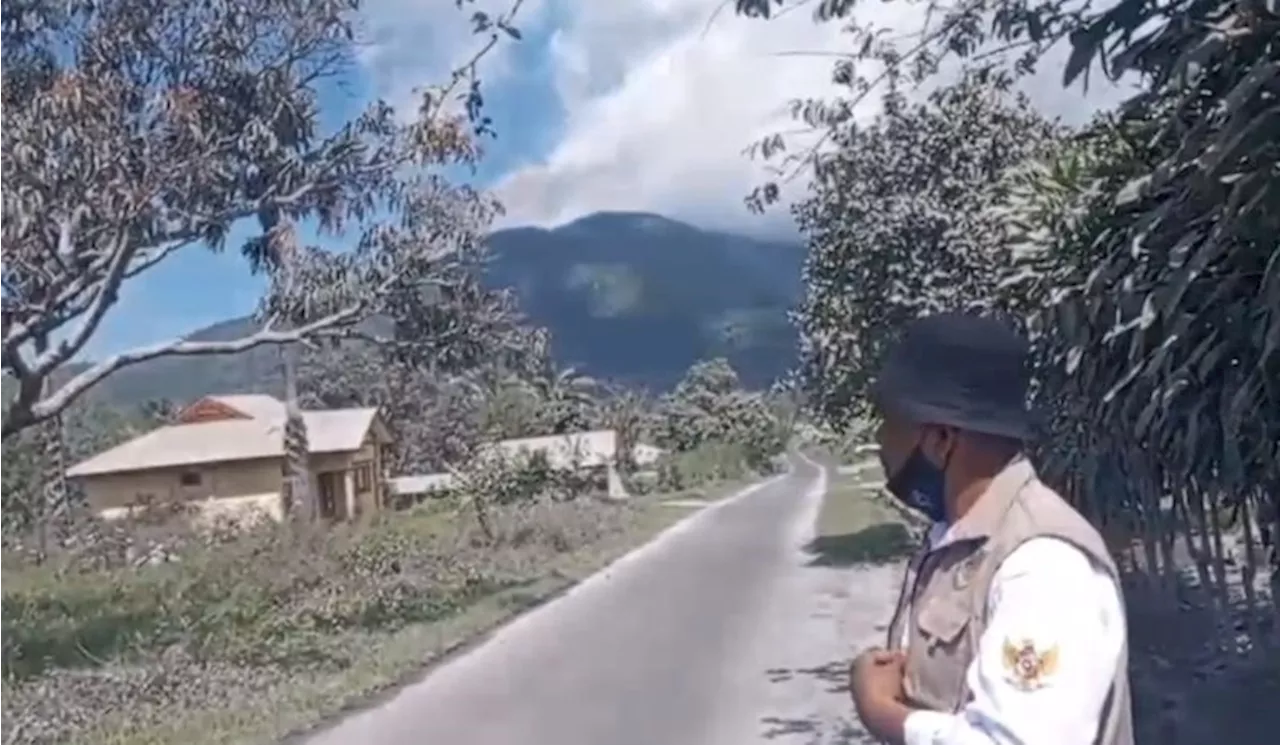 Gunung Lewotobi Laki-laki Meletus, Petani Jambu Mete Gagal Panen