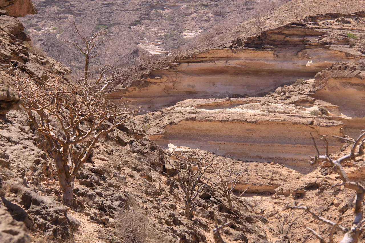 Wandergruppe im Oman gerät in schwere Regenfälle