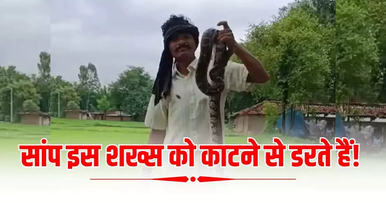 CG Snake Man: छत्तीसगढ़ के 'स्नेक मैन' को काटने से कतराते हैं सांप, नहीं होता जहर का असर, डॉक्टरों के लिए है पहेली