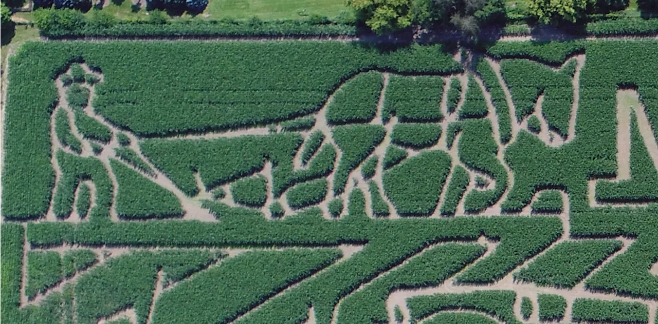 ‘World's largest corn maze' in Chicago suburb unveils 2024 theme