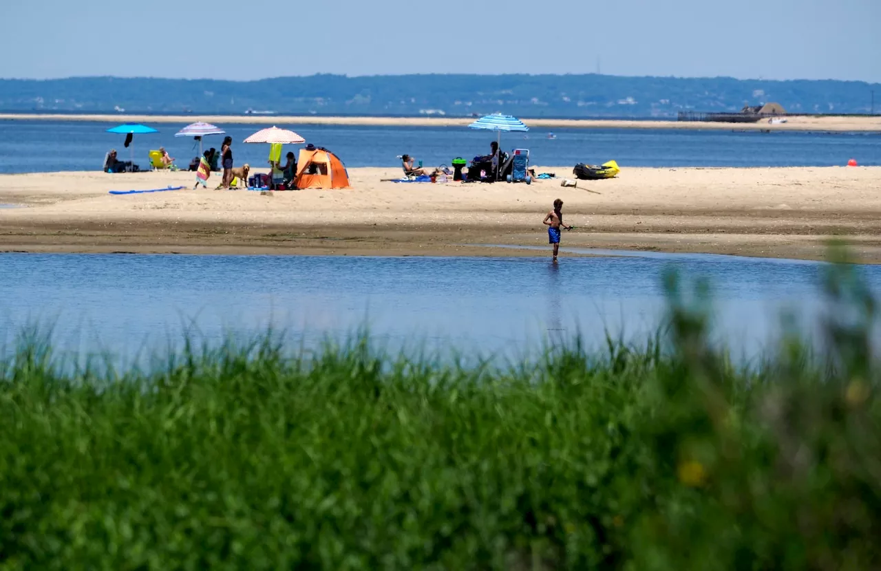 4-year-old severely burned by coals left near Jersey Shore beach