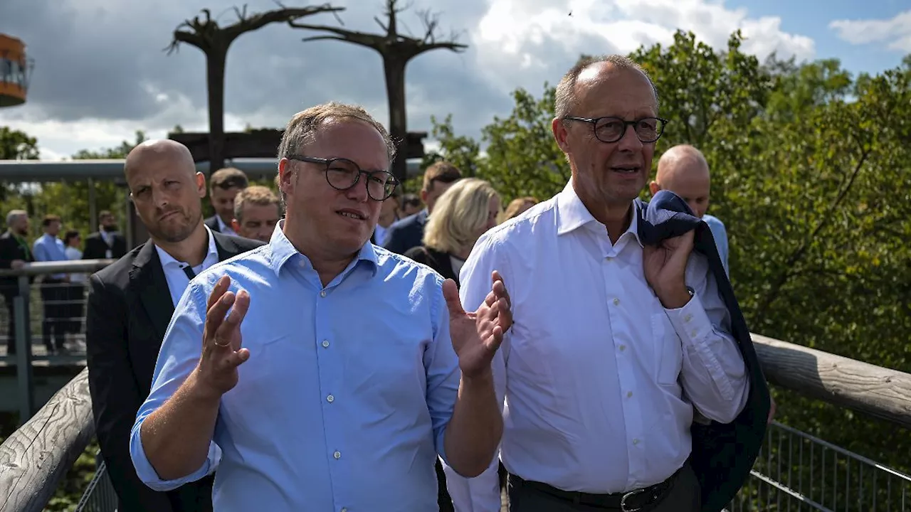 Friedrich Merz zu Zusammenarbeit mit der AfD: 'Das würde die CDU umbringen'