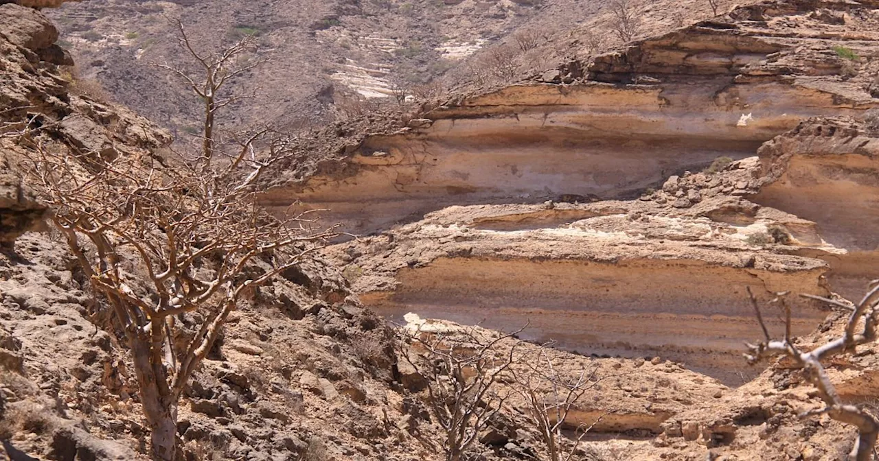 Wandergruppe im Oman gerät in schwere Regenfälle