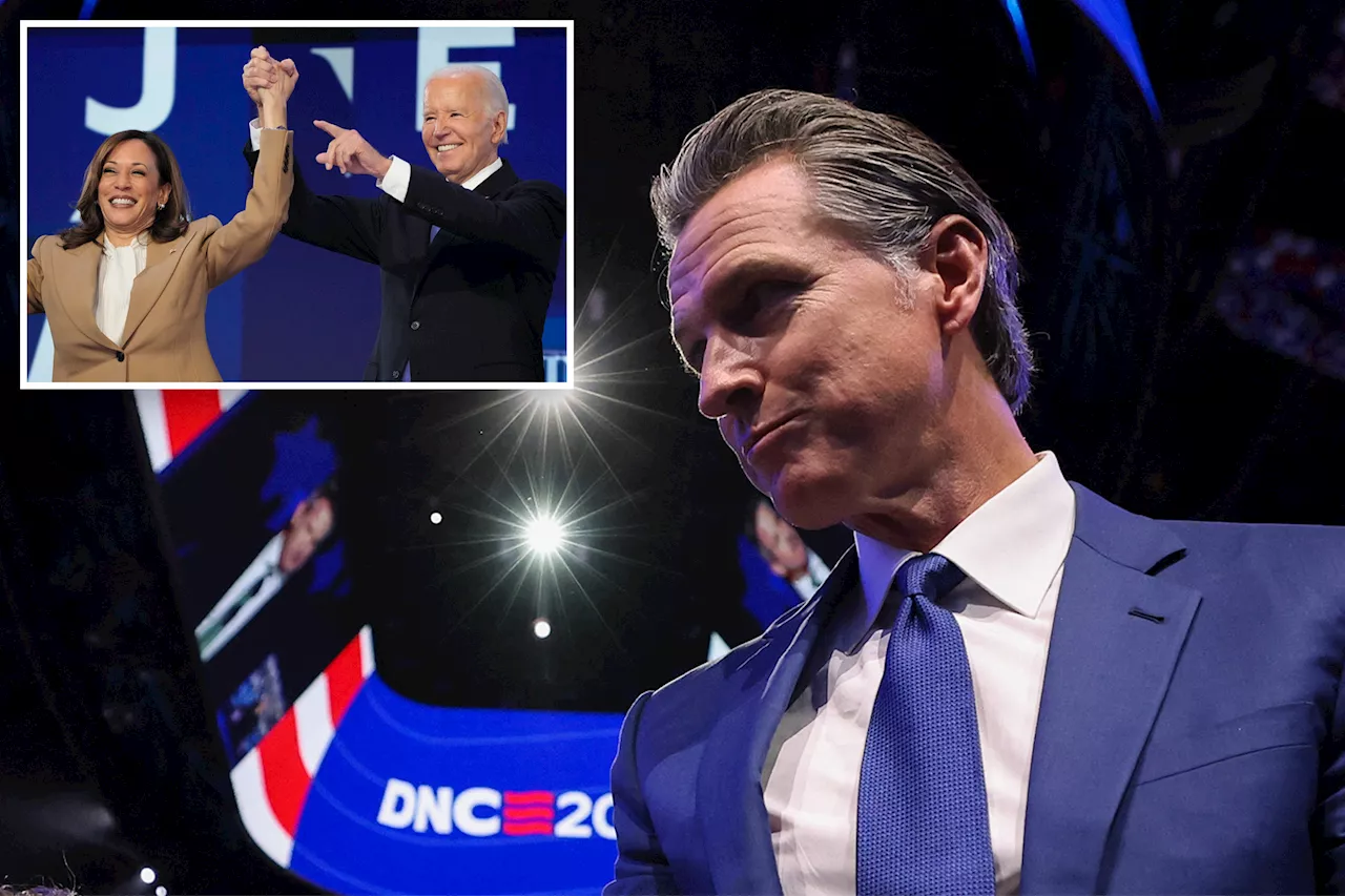 Gavin Newsom jokes about Kamala Harris landing nomination without primary, laughs he was ‘told’ to call it inclusive