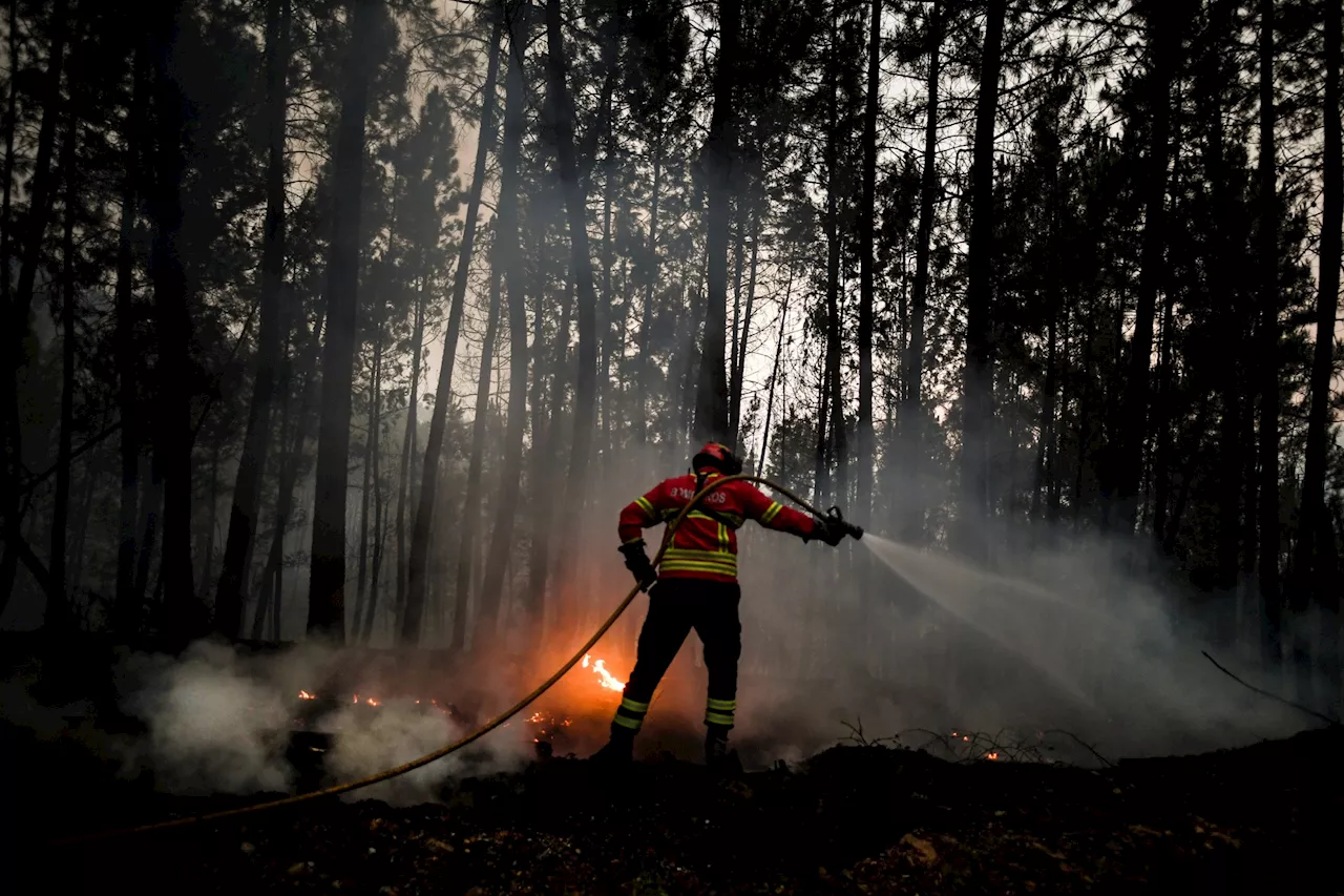 Les Pyrénées-Orientales en alerte rouge 'feux de forêt' : quelles sont les précautions à prendre