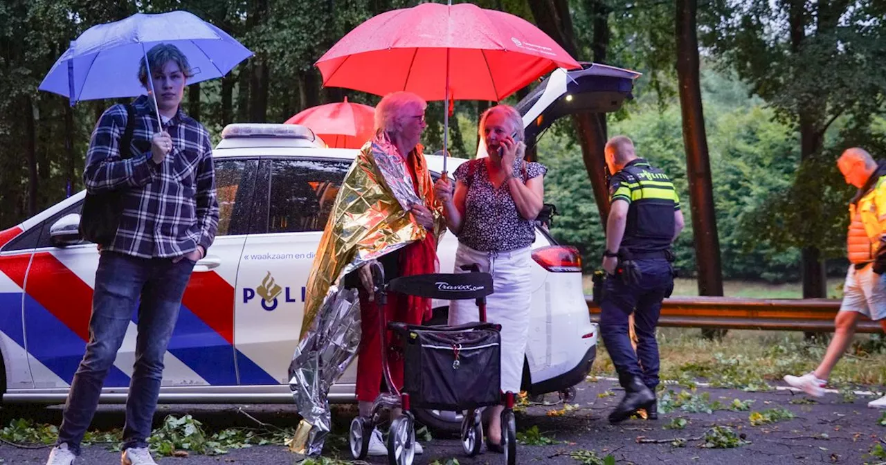 Schades, geknakte bomen en gestrande automobilisten op A28 door noodweer: 'Gekkenhuis'