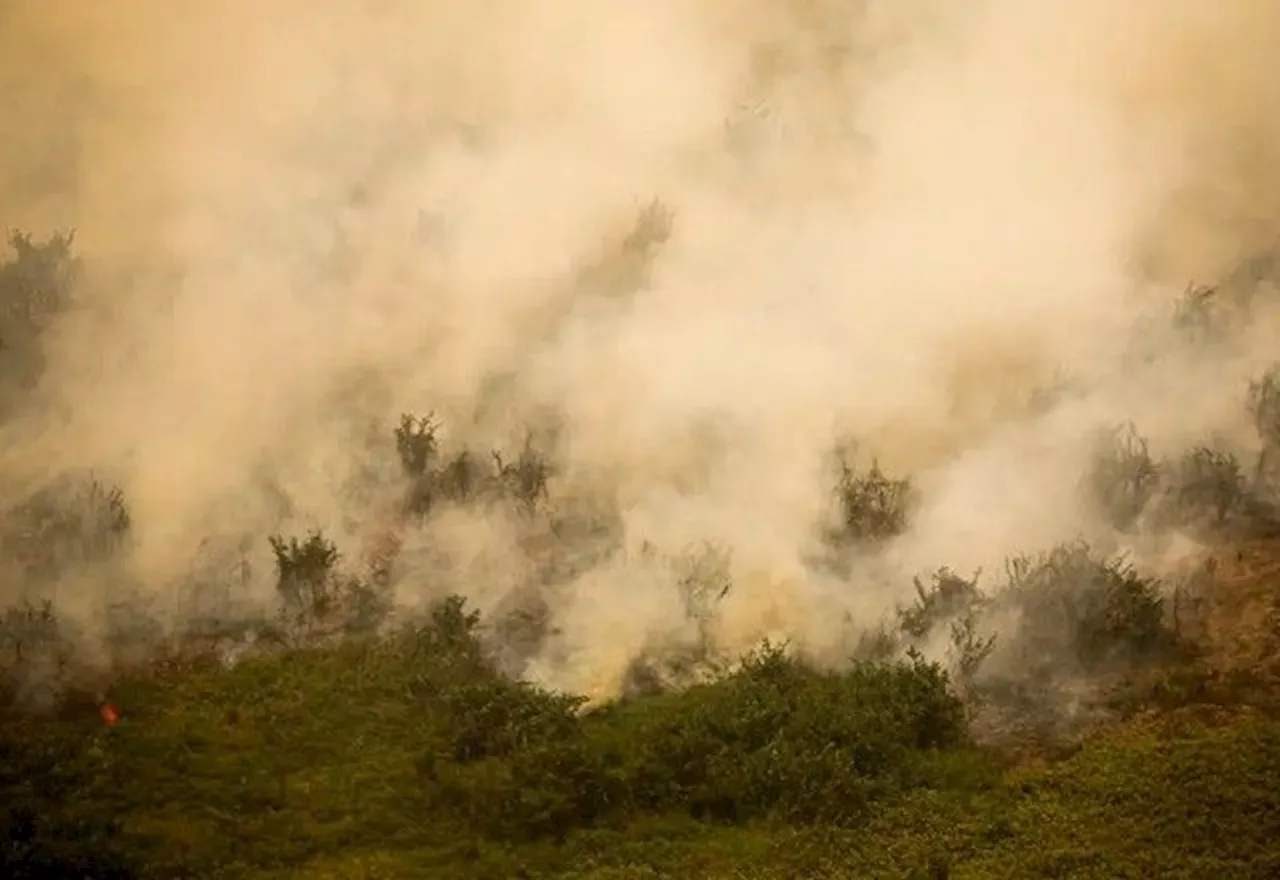 Só em agosto, SP vai registrar o dobro de incêndios se comparado a todo 2023