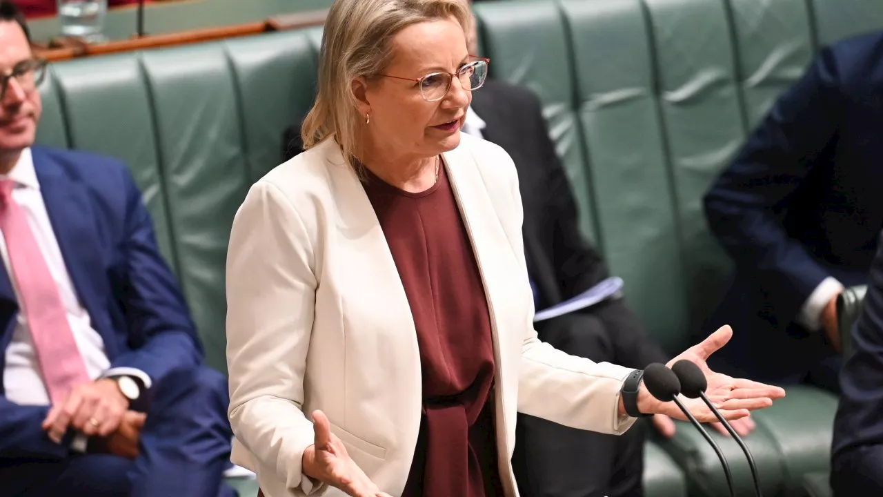 Deputy Opposition Leader Sussan Ley takes aim at teal, ALP after NT election