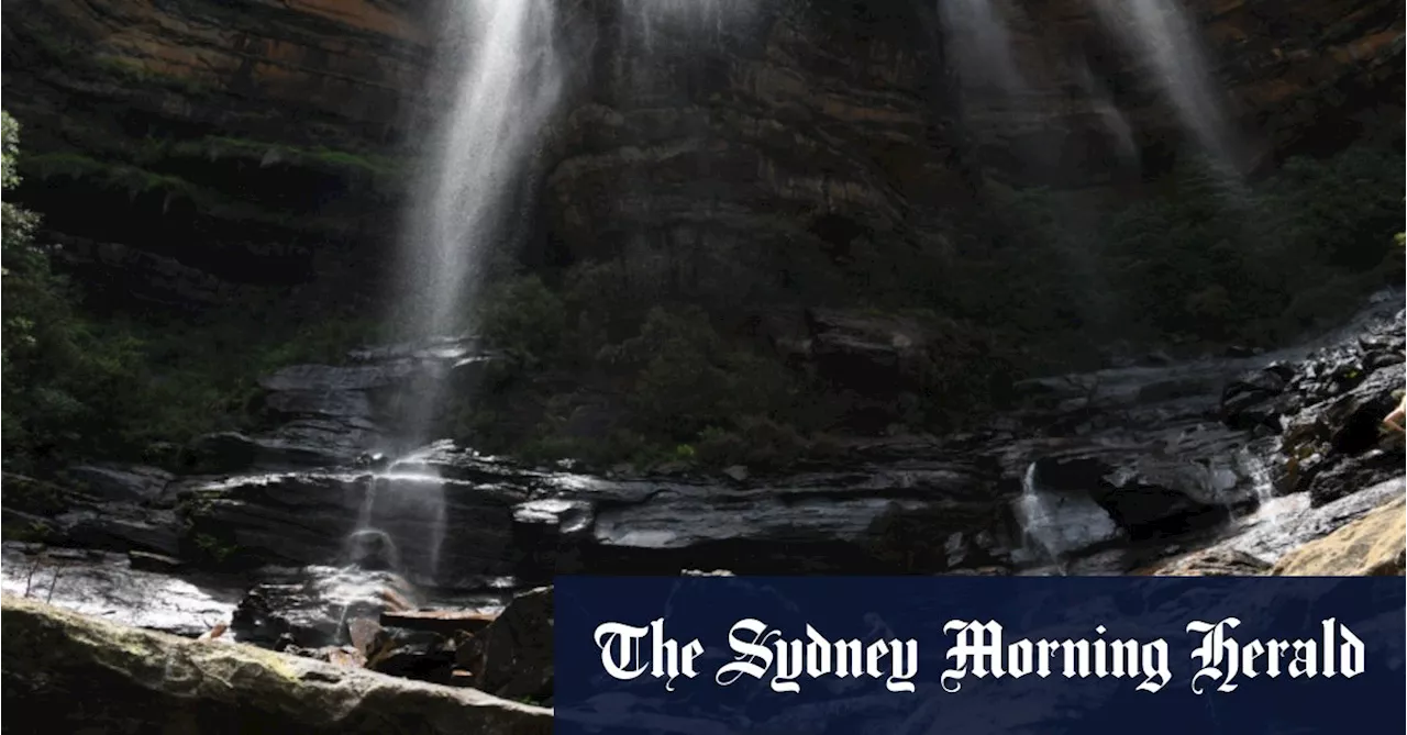 Nine bushwalkers rescued in the Blue Mountains