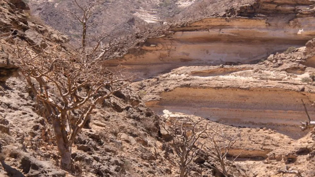 Arabische Halbinsel: Wandergruppe im Oman gerät in schwere Regenfälle