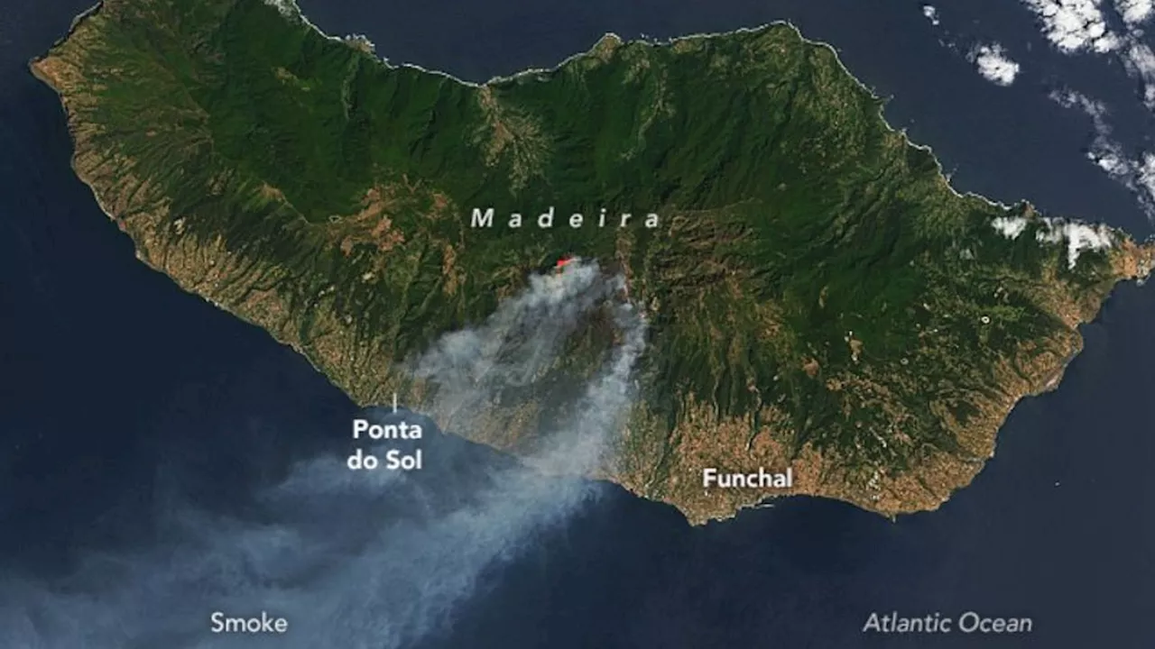 Portugiesische Insel: Waldbrand auf Madeira unter Kontrolle