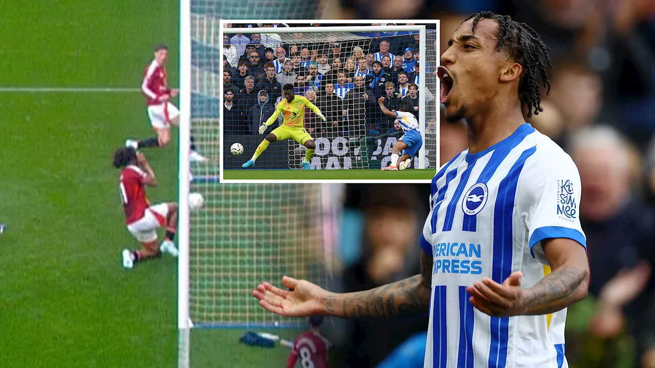 Brighton 2 Man Utd 1: Joao Pedro scores stunning injury-time winner after Joshua Zirkzee’s KNEE costs v...