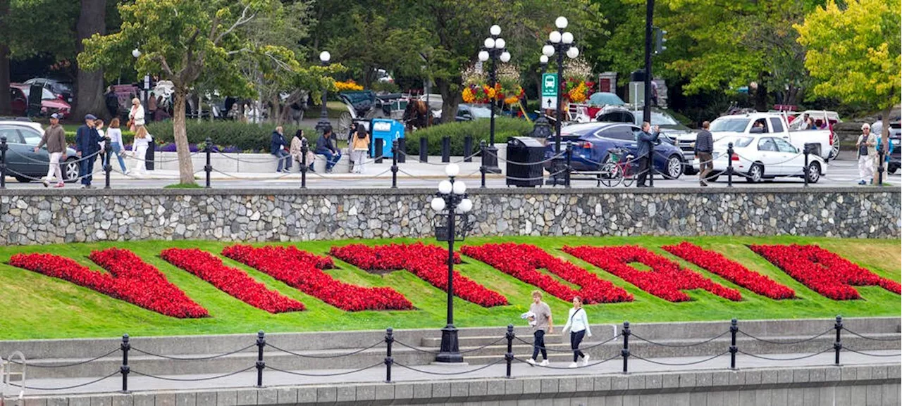 ‘A bit quieter’ for Island tourism but it’s up for Victoria