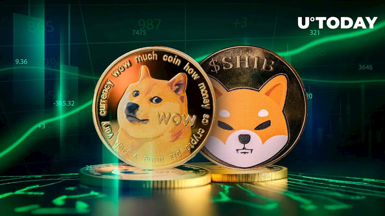 DOGE Surpasses SHIB and Rest of Meme Coins in Key Metric: Details