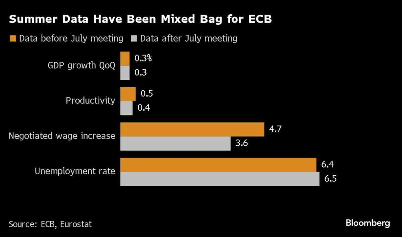 ECB Gears Up for Next Interest Rate Cut With Inflation Slowing