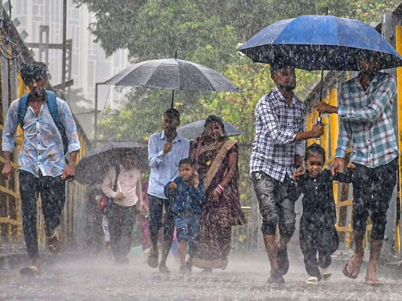 मुंबईत पावसाची धुंवाधार बॅटींग,राज्यात कुठे मुसळधार? काय म्हणतोय हवामान विभागाचा अंदाज? जाणून घ्या