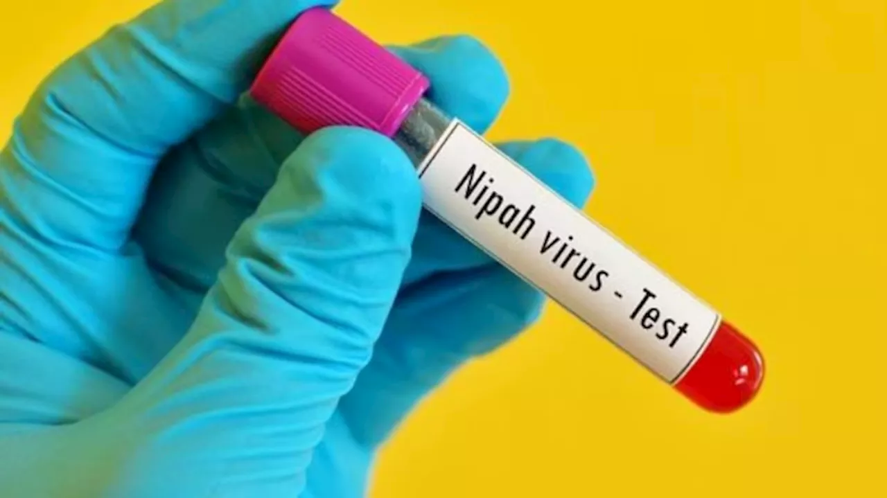 Nipah: കണ്ണൂരിൽ നിപയില്ല! നിരീക്ഷണത്തിലിരുന്ന 2 പേരുടെ പരിശോധനാ ഫലം നെ​ഗറ്റീവ്