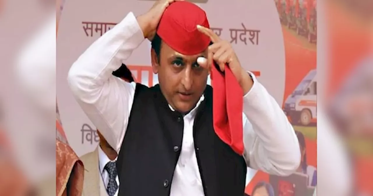 UP Politics: अगर हम हरियाणा में कमजोर हैं तो यूपी में कांग्रेस कहां मजबूत... सपा की राहुल की पार्टी को दो टूक