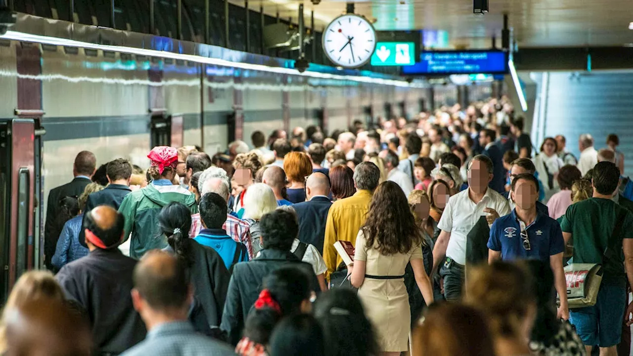 Schweizer Wohlstand wegen Zuwanderung geschrumpft