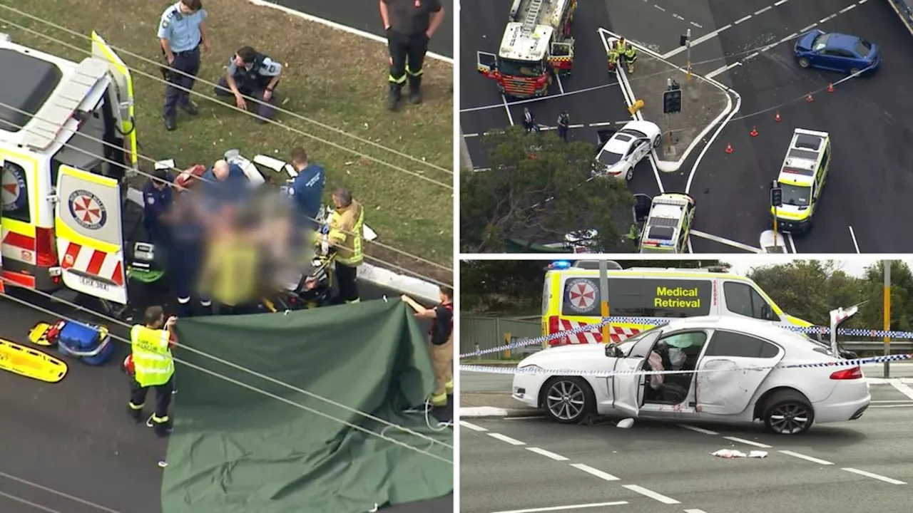 Man allegedly stabbed partner while driving before crashing, attacking strangers on Princes Hwy, Engadine