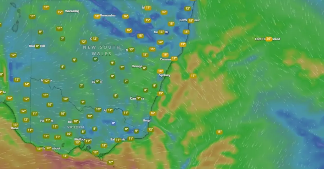 Wild weather warning for residents across southern New South Wales