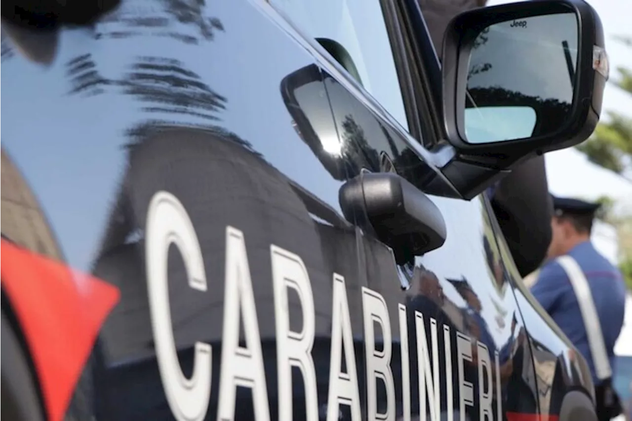 Furti di auto e cavalli di ritorno, scatta blitz dei carabinieri