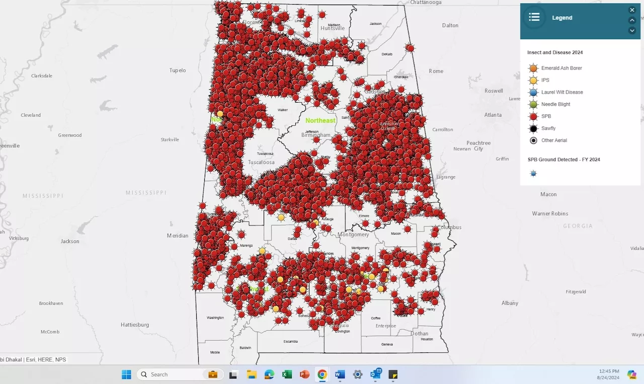 Southern pine beetles at ‘epidemic’ level in Alabama forests