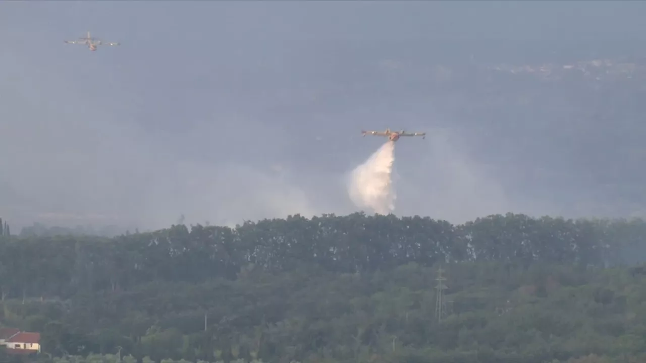 Incendie dans les Pyrénées-Orientales: un camping évacué, le feu désormais maîtrisé