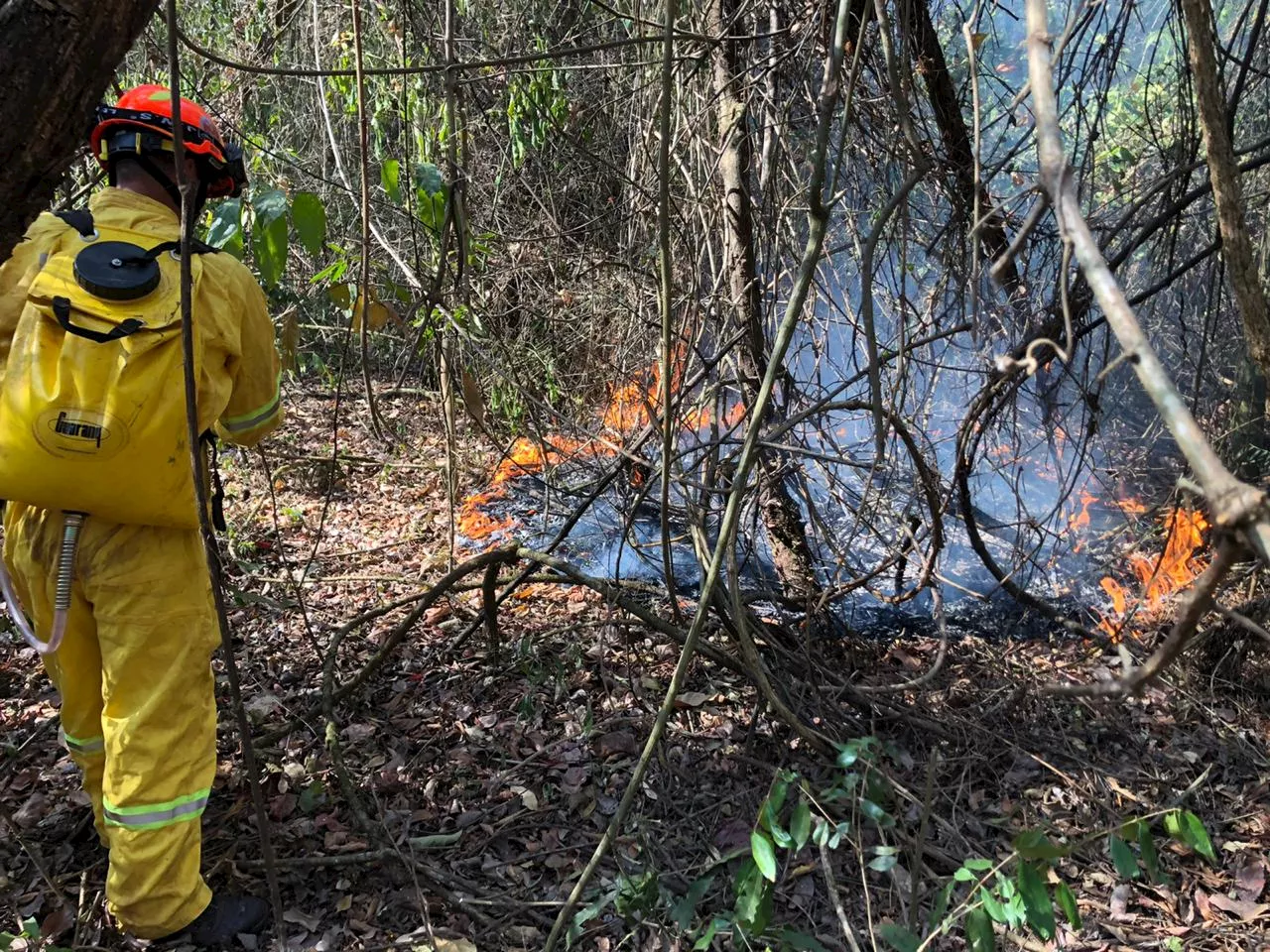 Ministério da Defesa vai enviar aviões para combater incêndios em São Paulo