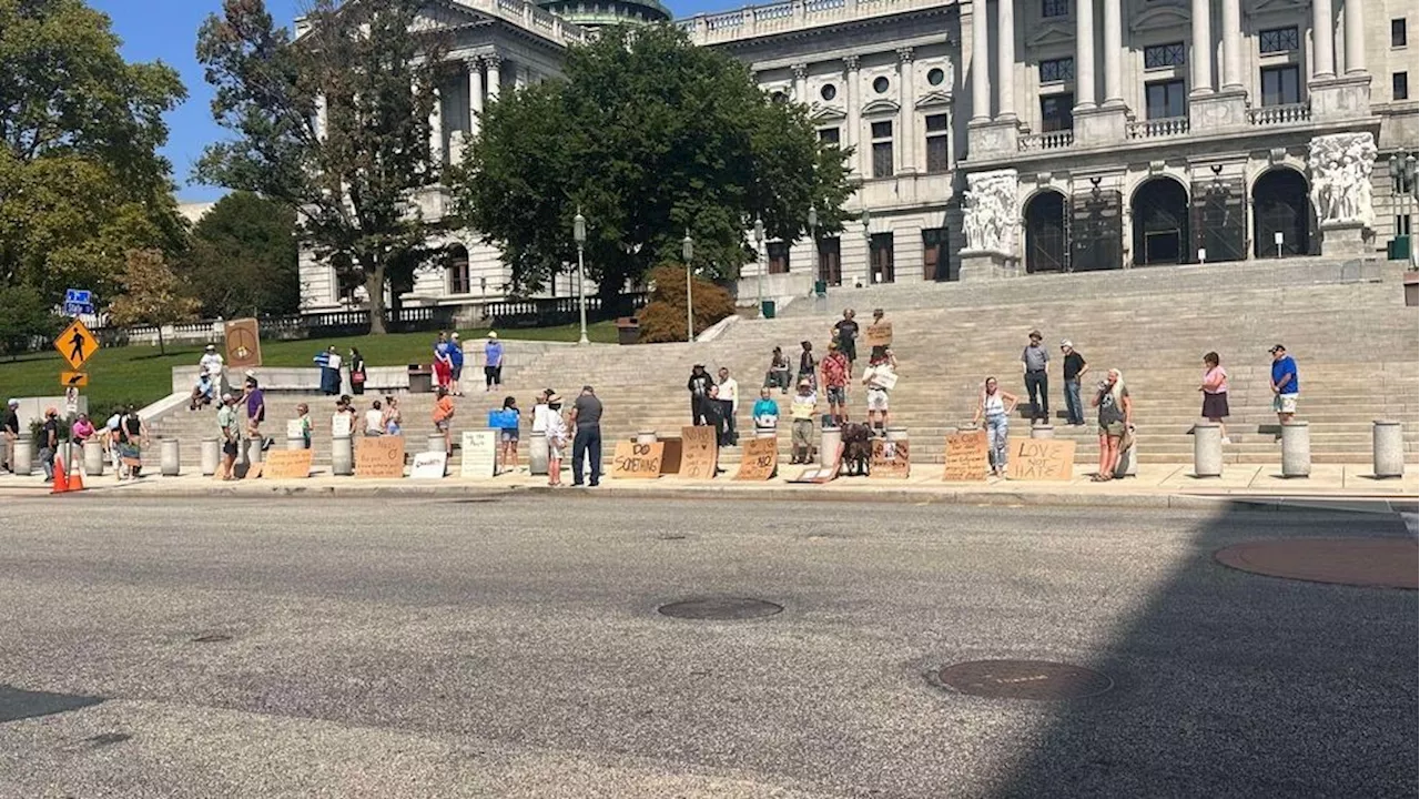 Protestors gather on Harrisburg capitol steps to speak out against 'group of neo-Nazis'