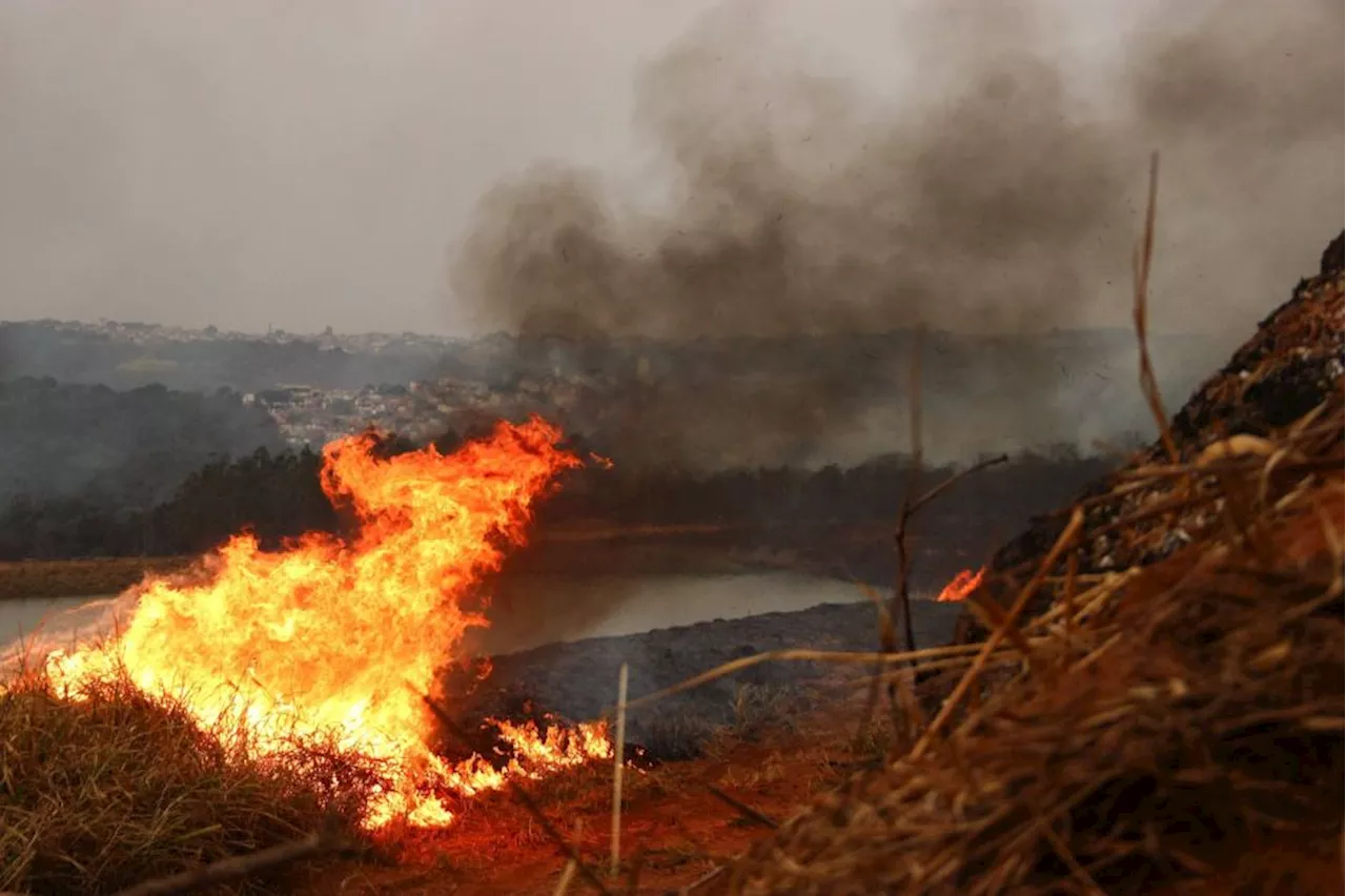 Polícia Federal vai investigar causas de incêndios em São Paulo