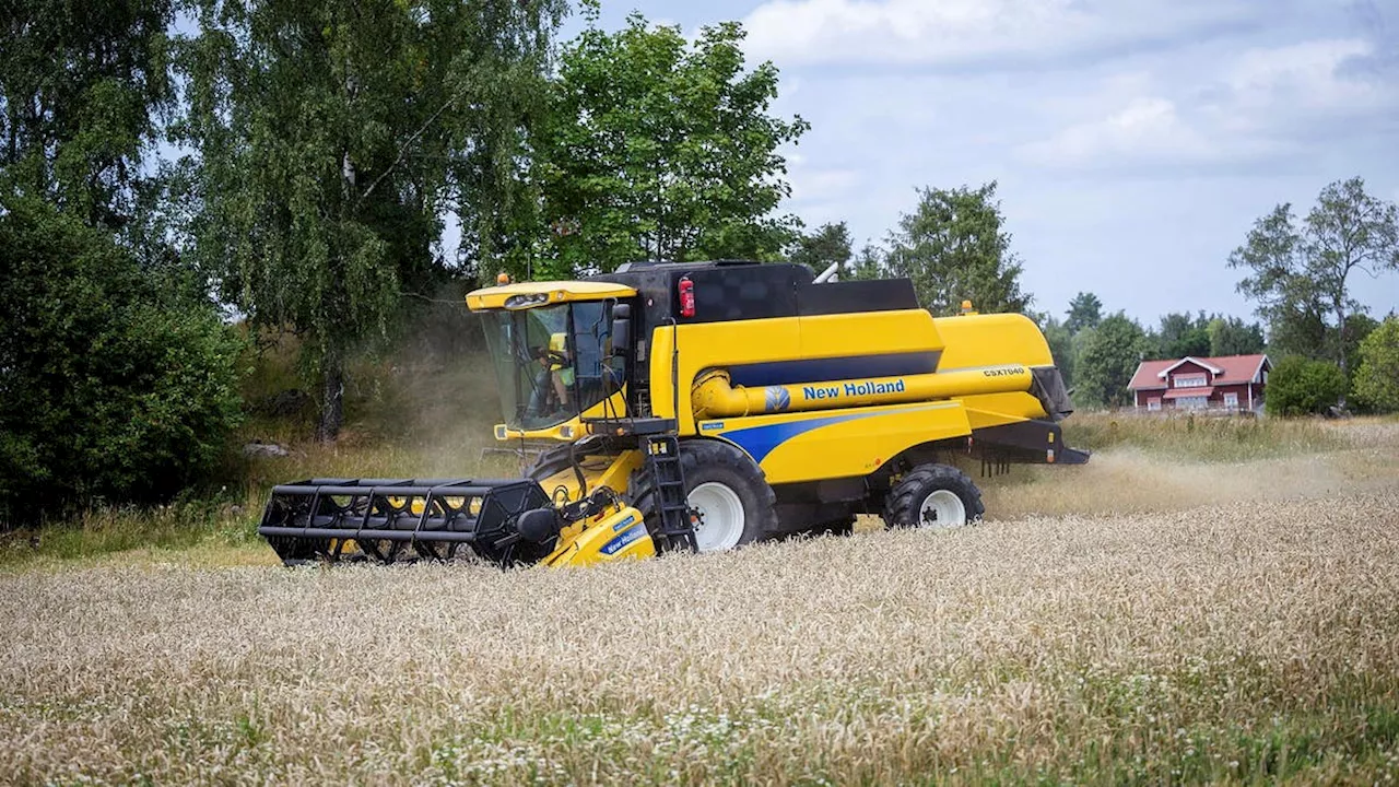 Prisfall bromsar lantbrukarnas skördefest