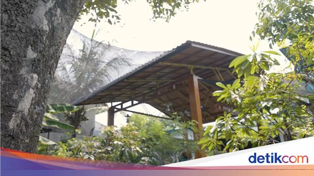 5 Tips Jitu Merawat Tanaman Biar Rumah Asri dan Ramah Lingkungan